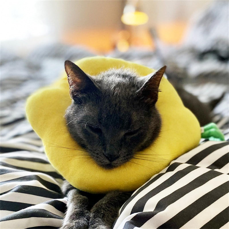 FANSU Soft Cat Neck Brace, Breathable Protective Collar for Cats, Adjustable Protective Collar (M, Avocado) M Avocado