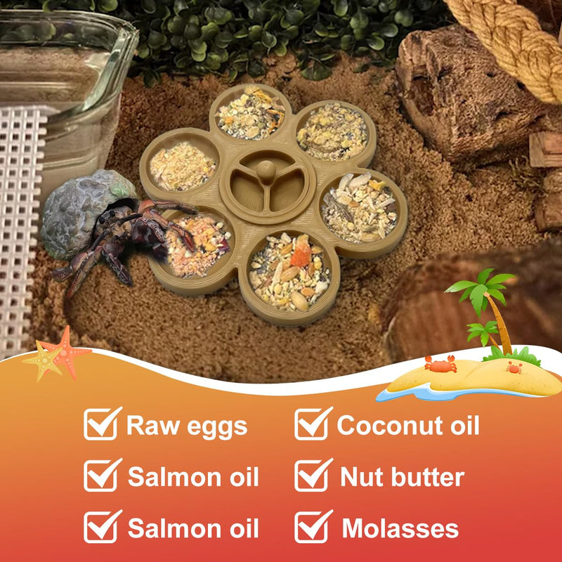 2 Pcs Hermit Crab Food Dish, 9 Grids Food & Water Bowl, Hermit Crab Tank Accessories - PawsPlanet Australia