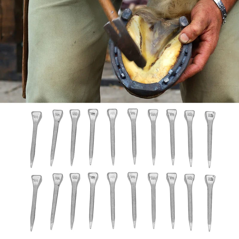 TOPINCN 250pcs Horseshoe Nails, 41mm/1.6in Horseshoe Nails High Tensile Strength Good Elasticity Crafted Steel Horse Shoes Nails Horseshoe Tools(FJ0RACE) - PawsPlanet Australia