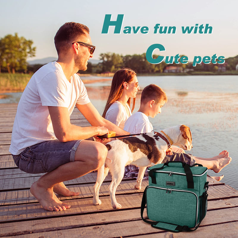 BAGLHER Pet Travel Set Airline-Approved Carrier for Small/Medium Cats & Dogs + Travel Bag with Food Containers & Silicone Bowls, Grey & Green Medium - PawsPlanet Australia
