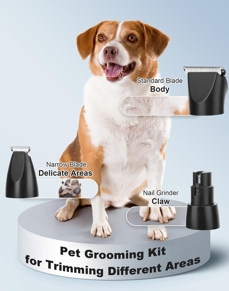 3 in 1 Small Dog Grooming Kit, 2 Speed Rechargeable Dogs Hair Clippers with Guards, Low Noise Electric Dog Paw Trimmer & Nail Grinder, Cordless Pet Shaver for Cats and Small Dogs(Black) Black - PawsPlanet Australia