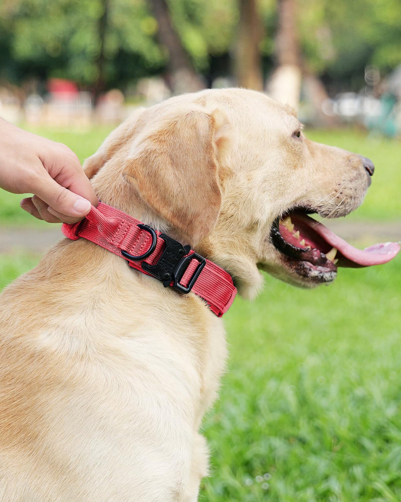 Joytale Tactical Dog Collar(17"-21") and Dog Leash Set, Shock Absorbing Bungee Dog Leash and Adjustable Strong Dog Collar with Handle for Large Dogs(Hotpink, L) - PawsPlanet Australia