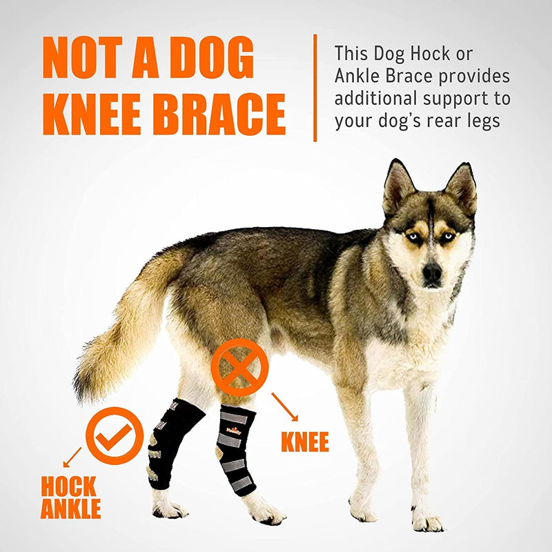 NeoAlly Pair Dog Rear Leg Brace Canine Rear Hock Joint Support with Safety Reflective Straps for Joint Injury and Sprain Protection, Wound Healing and Loss of Stability from Arthritis (M Pair) M (1 Pair) Black