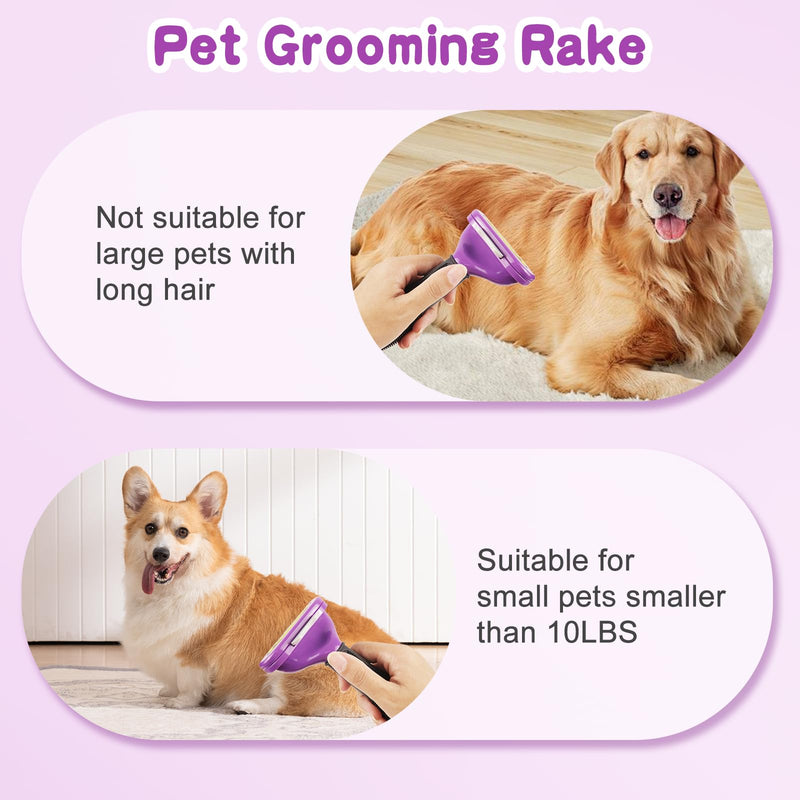 Pet Grooming Brush for Dogs and Cats, Effectively Reduces Shedding by Up to 95%, Self-Cleaning, Long or Short Hair Remover for Medium Dogs & Cats(Large) Large - PawsPlanet Australia