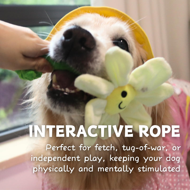Interactive Dog Plush Toys, Crinkle Flower Dog Rope Toy, Puppy Chew Toys for Teething, Cute Dog Gift for Small and Medium Dogs - PawsPlanet Australia