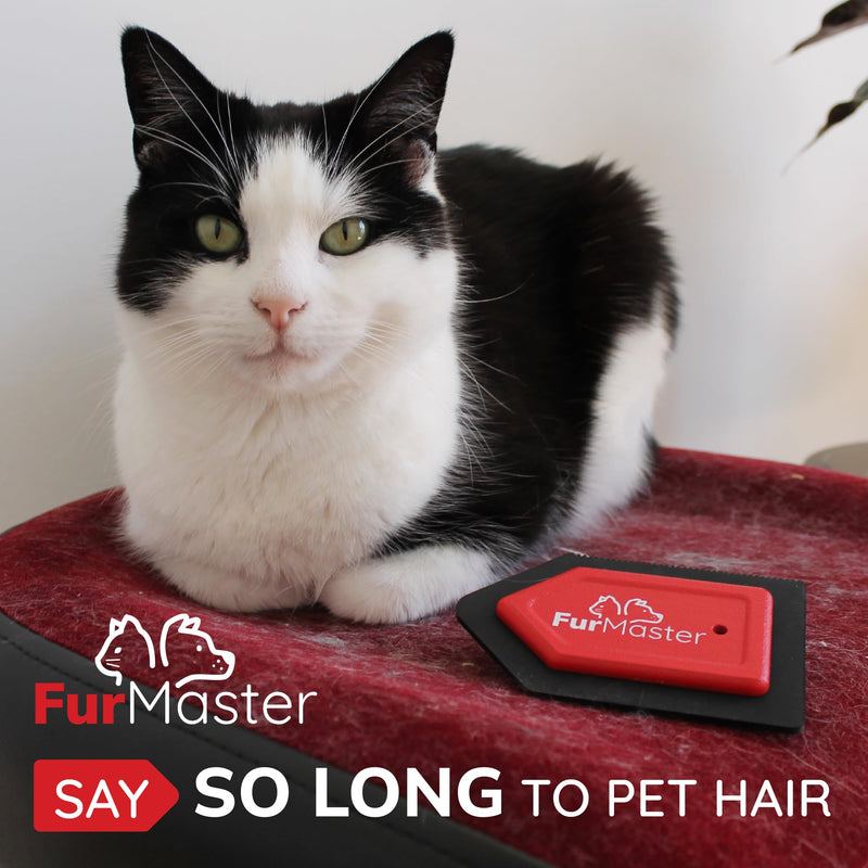 JJ KENT FURMASTER Pet Hair Removal Tool For Furniture - PawsPlanet Australia