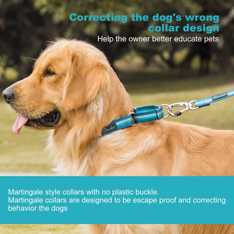 Martingale Dog Collar No Pull Pet Collar Heavy Duty Dog Martingale Collars Silky with Unique Geometric Pattern for Medium and Large Dogs (Large, Turquoise) Large: 17"-25", 1" Wide