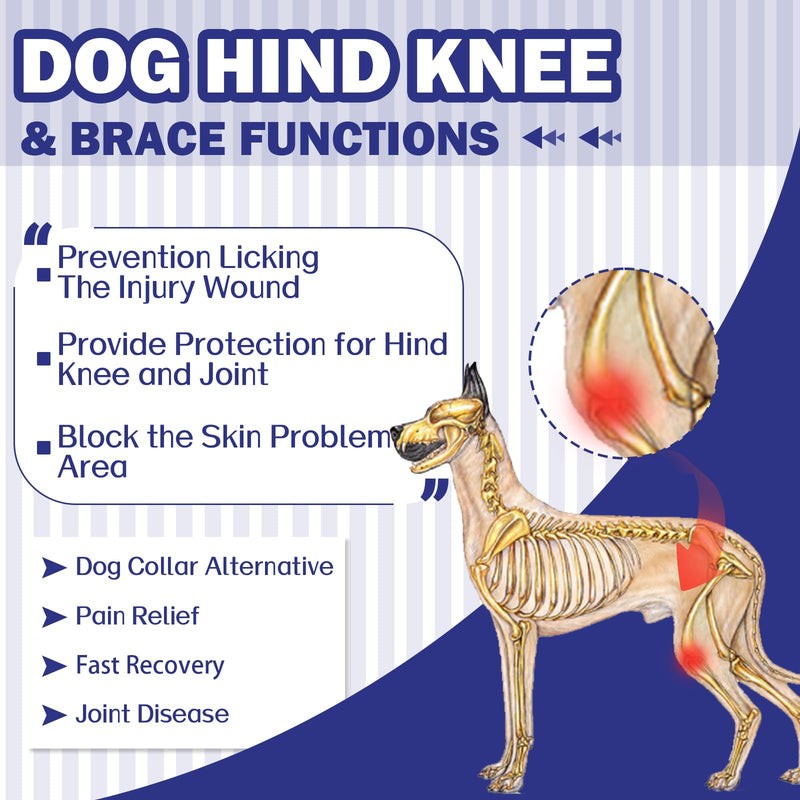 Recovery Suit For Dogs - Leg Surgery Recovery Suit, Lick Sleeve To Prevent Licking Bite, Avoids Wound Infection - XL Blue