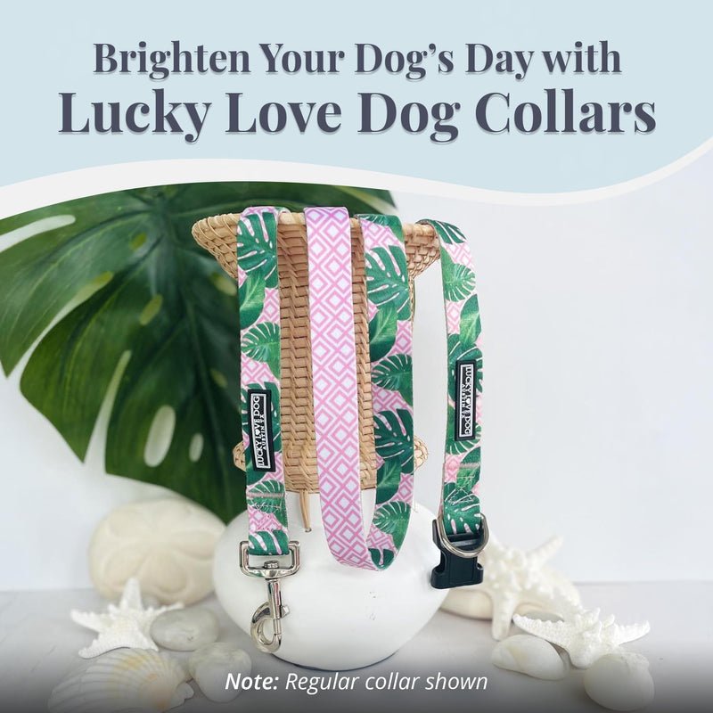 Lucky Love Dog Martingale Dog Collar - Adjustable, No-Slip, Comfortable, Durable, Soft Webbing & Stylish Patterned Collar for Male and Female Dogs Ideal for Training & Walking - Laguna, Small Small Collars (10-15") - PawsPlanet Australia