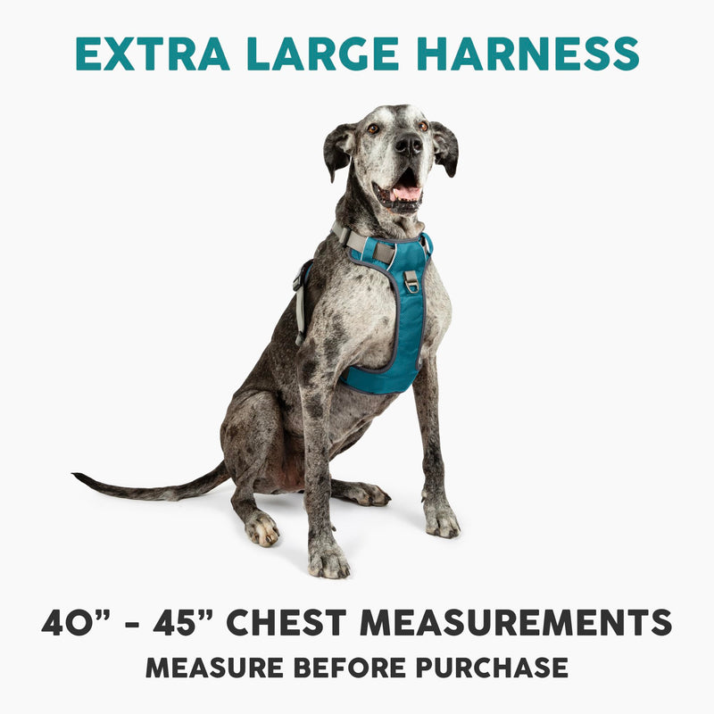 Embark Adventure XL Dog Harness – No-Pull, Reflective Trim, Military-Grade Nylon, 2 Leash Clips with Gel-Lined Handle, Soft & Padded Blue - PawsPlanet Australia