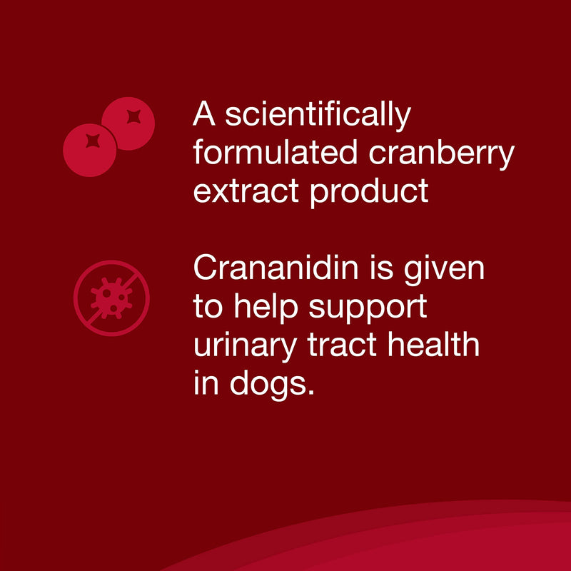 Nutramax Laboratories Crananidin Cranberry Extract Urinary Tract Health Supplement for Dogs, 75 Chewable Tablets 75 Count - PawsPlanet Australia