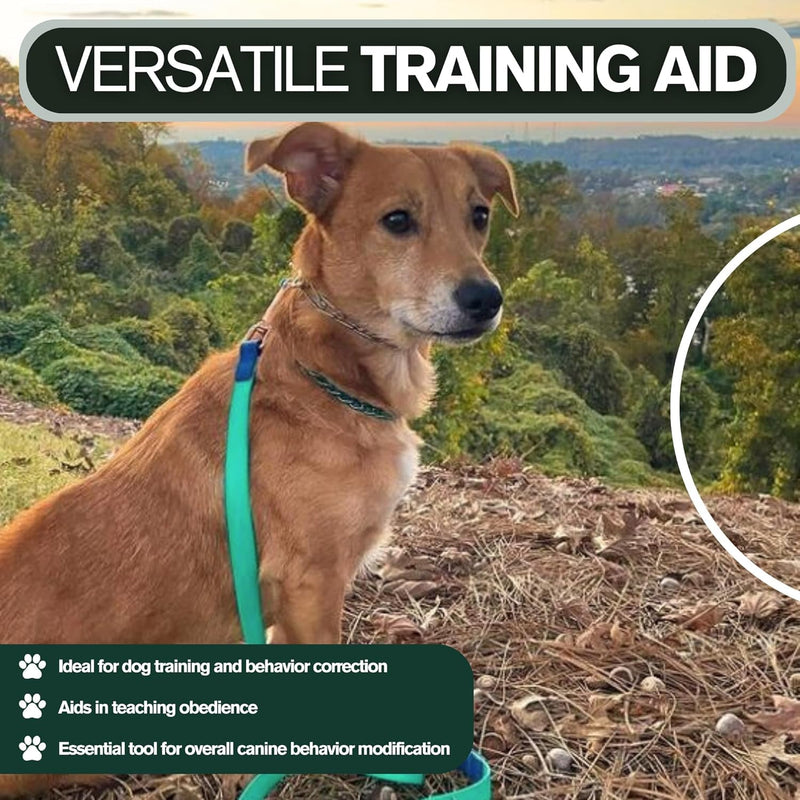 1.5mm Kimberland Collars Clasp Dog Training Collar for Small Breeds | 8'' Micro Training Chain for Dogs 6-26lbs | No-Pull Collar | Behavior Aid | Stainless Steel | Silver - PawsPlanet Australia