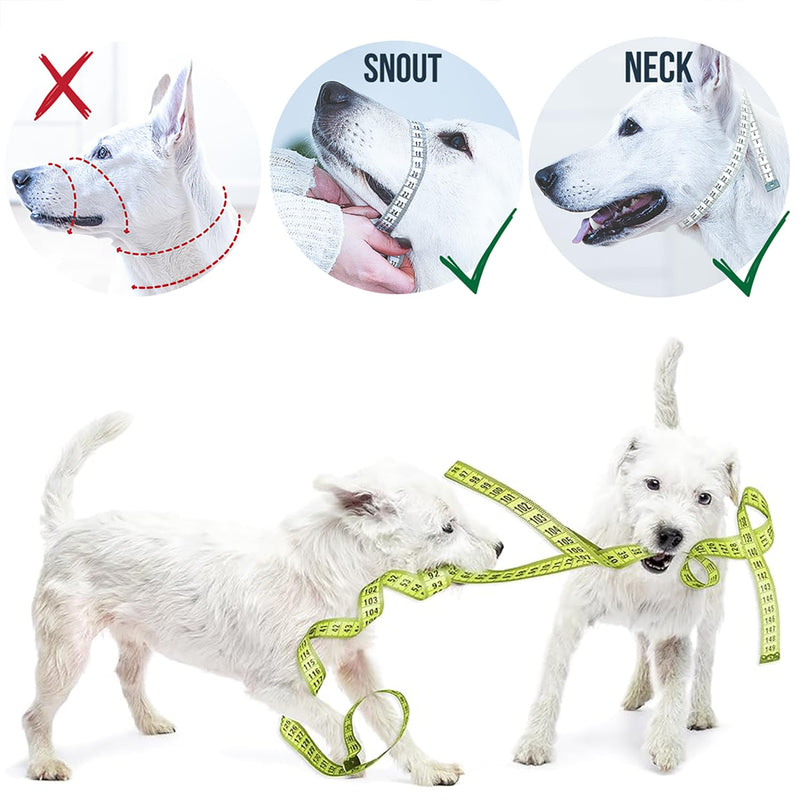 GoodBoy Dog Head Halter with Safety Strap - Stops Heavy Pulling On The Leash - Padded Headcollar for Small Medium and Large Dog Sizes - Head Collar Training Guide Included (Size 1, Blue Nylon) Size 1 (Pack of 1) Blue Nylon / Black Padding - PawsPlanet Australia