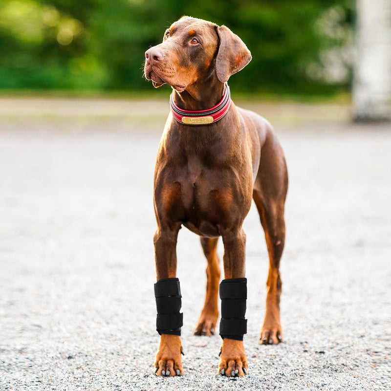 ROZKITCH Dog Leg Protector for Rear Hock Joint or Front Leg Brace, 1 Pair of Dog Leg Compression Wrap Sleeve for Anti Licking Carpal Support Ankle Support Protect Injury Sprain Torn ACL CCL Black XL X-Large - PawsPlanet Australia