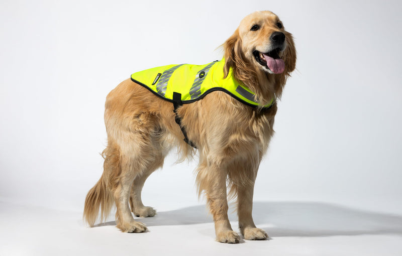 Reflective Dog Safety Vest, Harness and Collar Compatible, Waste Bag Holder, Water Resistant, Adjustable Neck and Chest, Day or Night Walking, High-Visibility Protection (Lime, S) Small - PawsPlanet Australia