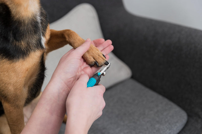 TRIXIE Pet Grooming Nail Clippers, for Medium and Large Size Dogs, 6" (16cm) - PawsPlanet Australia