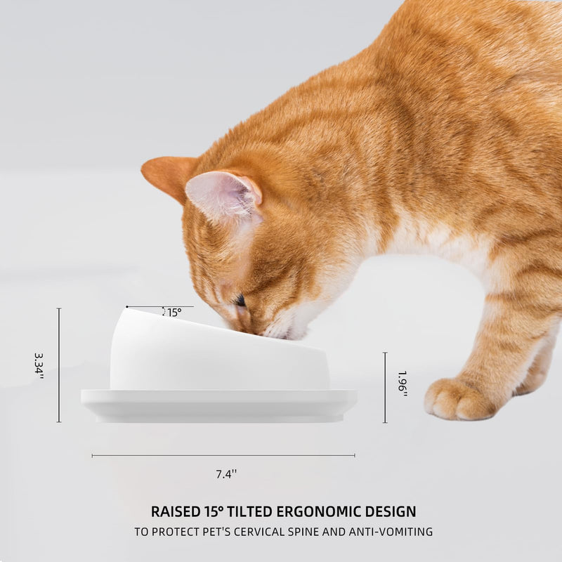 Cat Bowls Elevated Tilted Whisker Friendly, Cat Food Bowls for Indoor Cats, Shallow Cat Food Dishes Stainless Steel, Slanted Flat Plastic Feeder Elevated Angled Design.(White) White - PawsPlanet Australia
