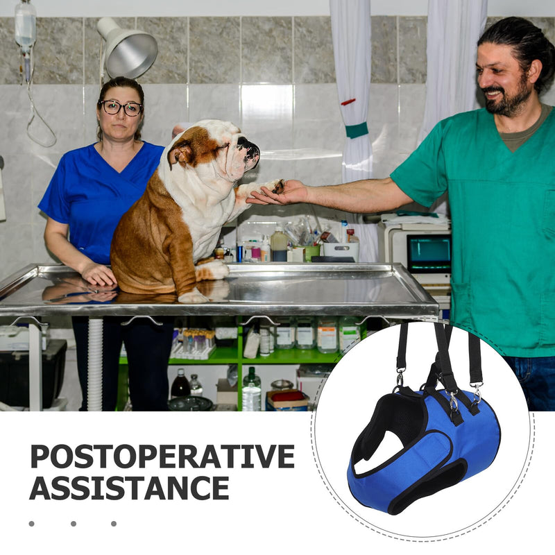 COLLBATH Dog Carrier Harness for Seniors and Injured Dogs, Adjustable Front Leg Aid Harness with Padded, Breathable Assistance Belt for Mobility Rehabilitation, Durable and