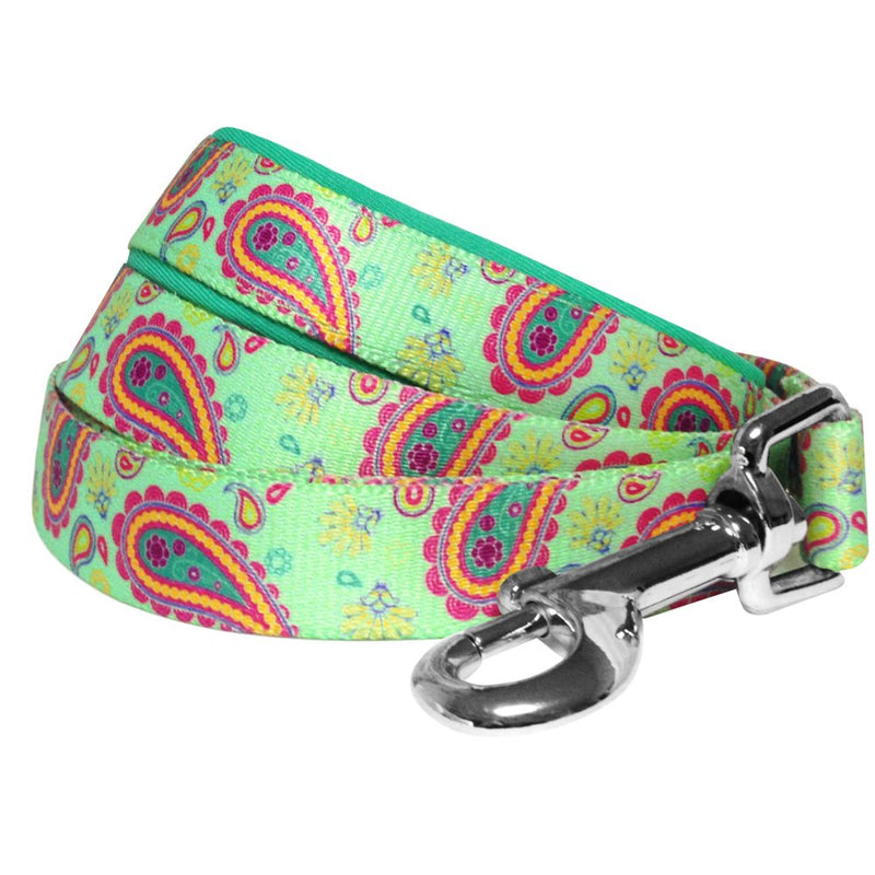 Blueberry Pet 5 Colors Paisley Flower Print Dog Leash with Soft & Comfortable Handle, 5 ft x 3/4", Emerald Green, Medium, Leashes for Dogs 5' * 3/4" (Pack of 1) - PawsPlanet Australia