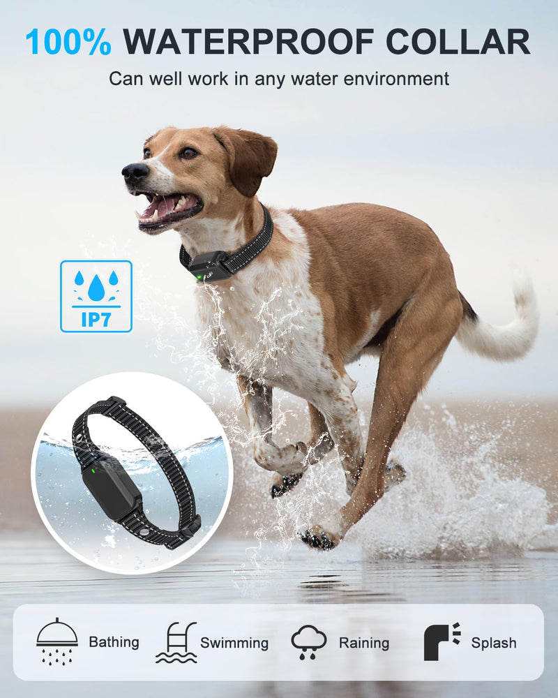 No Shock Dog Training Collar with Remote, Dog Vibration Collar with Controller Beep and Vibrate Only, Safe Lock Waterproof Rechargeable Vibrating Collars for Dogs(10-120 lbs)-No Prongs (Black) Black - PawsPlanet Australia