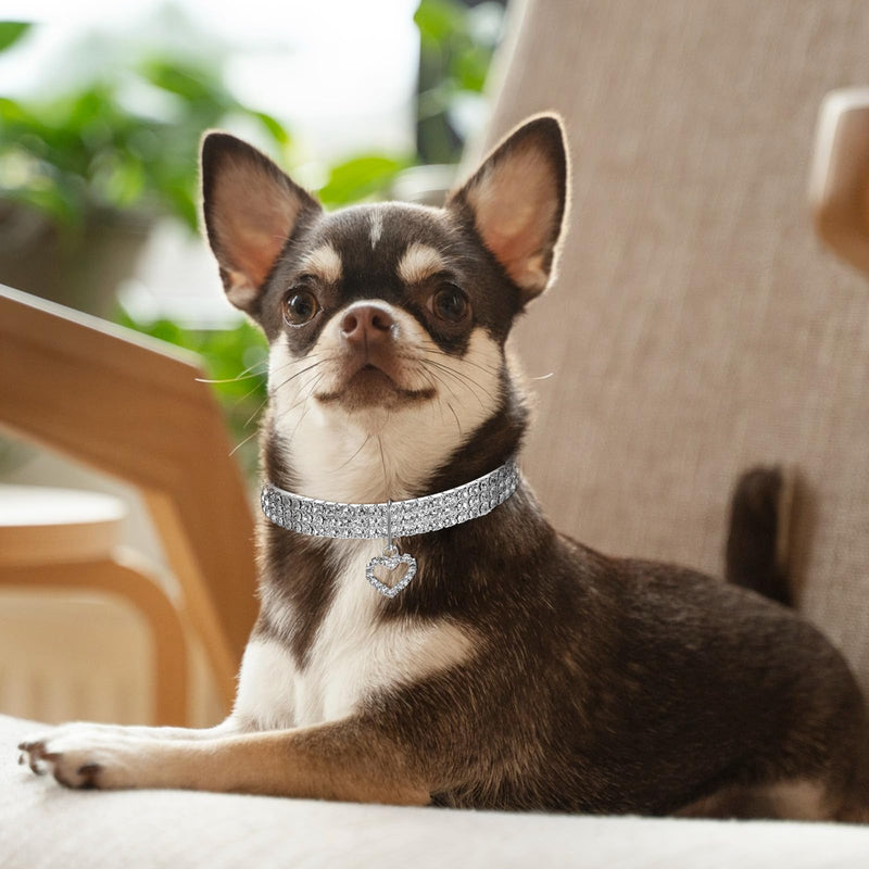 Rhinestone Dog Cat Collar Pearl Necklace Set Cute Pearl Cat Collar Adjustable Dog Necklace Collars for Small Cats Dogs Puppy (S, 2Pcs) - PawsPlanet Australia