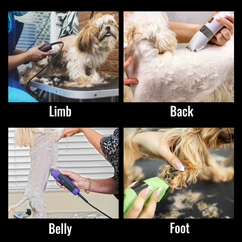 FENICE PEAK 10FC Low Noise Pet Dog Grooming Clippers Replacement Blade Ceramic Edge Detachable Steel Pet Clipper Blade with Cutting Length of 1.9mm 1/13'' (1 Count) 10FC Blade(1 Count) - PawsPlanet Australia