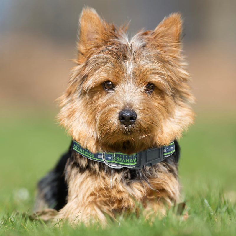 Pets First NFL Seattle Seahawks Licensed PET COLLAR, Small - Heavy-Duty, Strong, and Durable Dog Collar. Available in 31 Football Teams and 4 Sizes