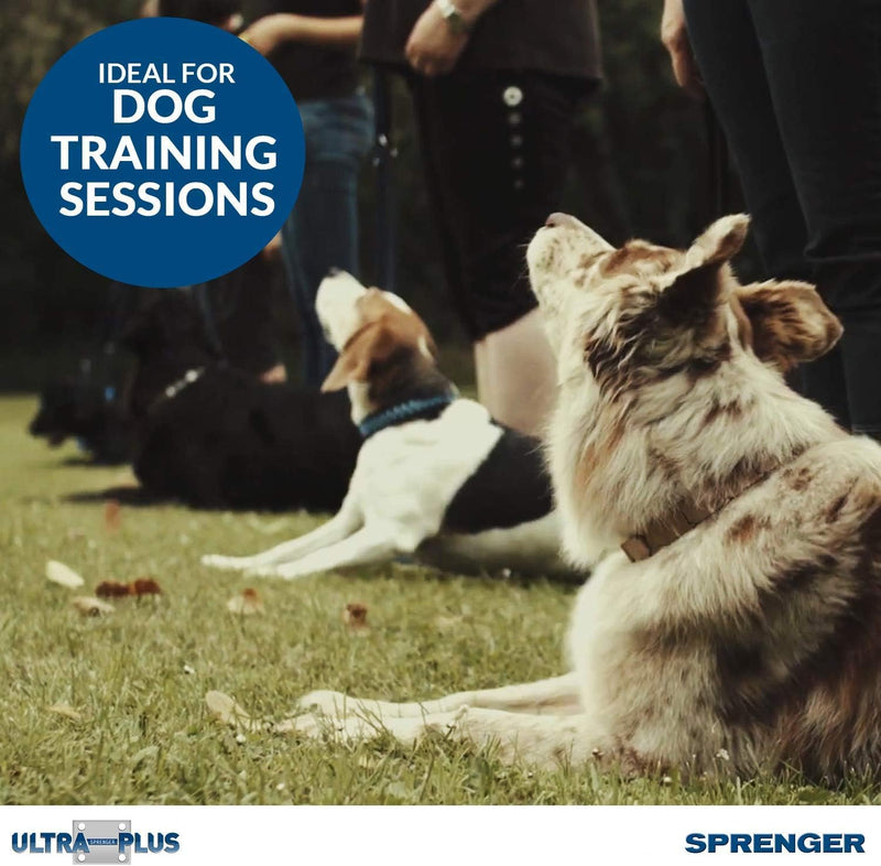 Herm Sprenger Pet Supply Imports Chrome Plated Training Collar with Quick Release Snap for Dogs, Medium, 3.0mm, 21-Inch 22in (55cm) x 3mm - PawsPlanet Australia