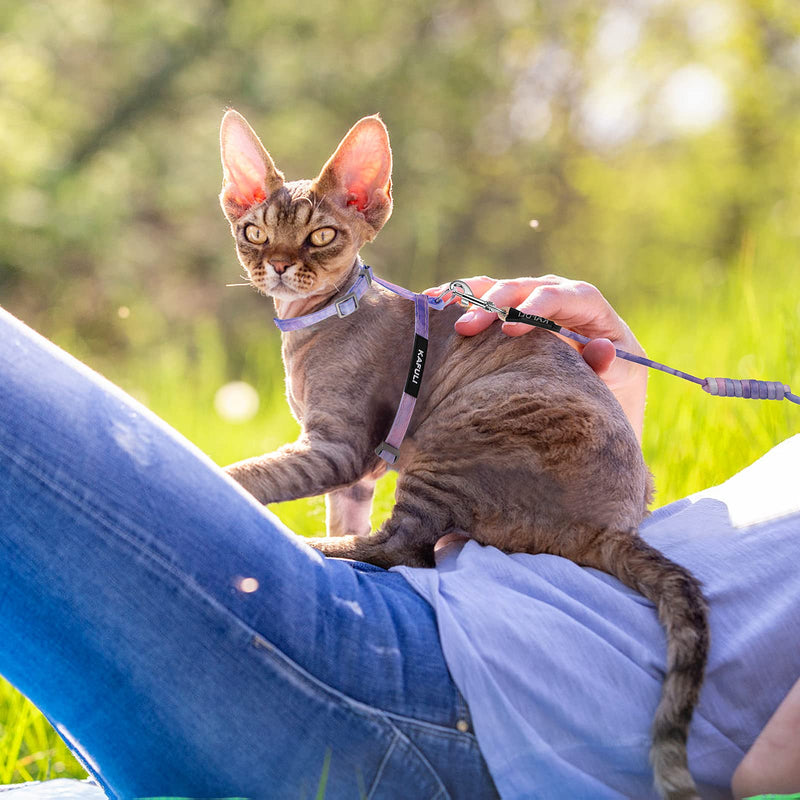 Cat Harness and Leash Set, Adjustable Gradient Kitten Harness Escape Proof Harness with Leash for Kitty Outdoor Walking (Gradient Purple) Gradient Purple - PawsPlanet Australia