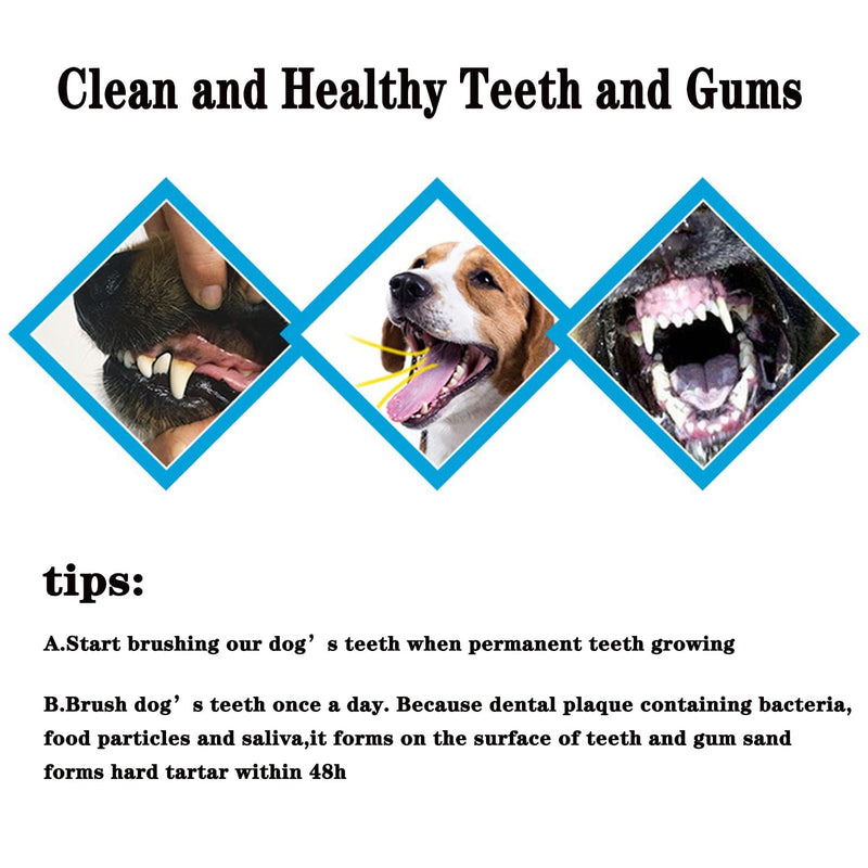 YMCCOOL Dog Toothbrush Set of 8 – Dual Headed Dental Hygiene Brushes for Small to Large Dogs, Easy Teeth Cleaning & Dental Care,Dog Tooth Brushes for Small to Large Dogs, Cats, and Most Pets Dogtooth-brush-8