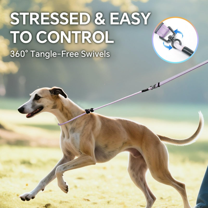 QQPETS Adjustable Slip Lead Dog Leash, Hands Free Waist Leash for Dog Walking, Reflective Training Lead with 360° Swivel Anti-Tangle, 4-7 ft Length for All Breeds Color Gradient - PawsPlanet Australia