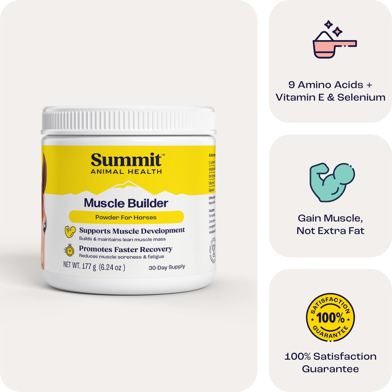 Muscle Builder Powder for Horses – Monk Fruit Flavored Horse Supplement w/Amino Acids, Vitamin E & More - Post Exercise, Training Muscle Recovery Powder - 30 Day Animal Supplements for Senior Horses 30 Day Supply Cream