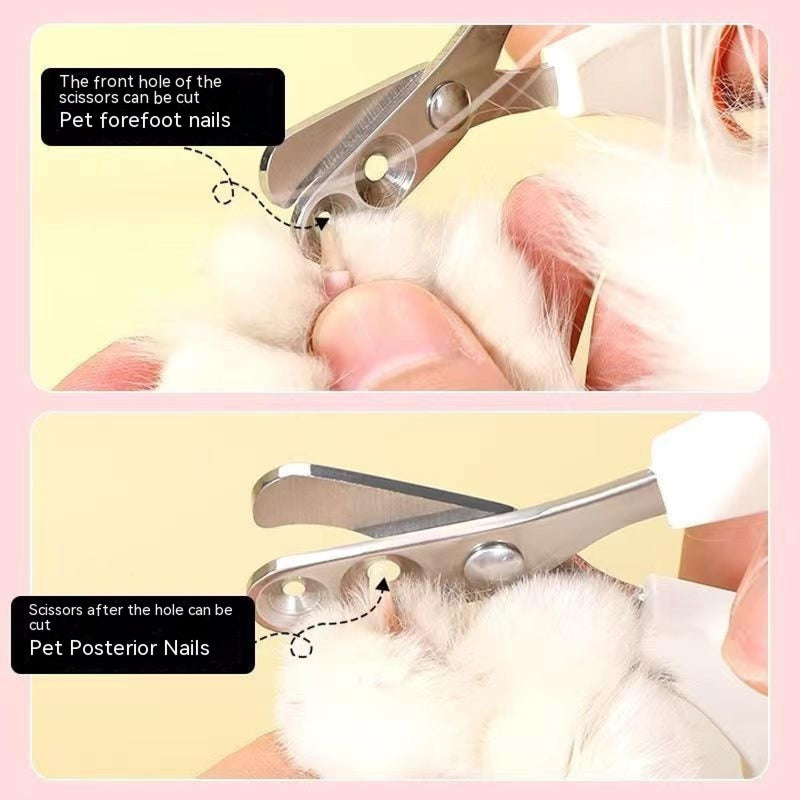 Newly Upgraded Design Cat&Dog Nail Clipper with Two Circular Cutting Holes of Different Size(2mm&4mm)-Avoid Over Cutting Pet Nail Clippers -Professional Paw Trimmer Set for Pet (Orange) Orange&black - PawsPlanet Australia