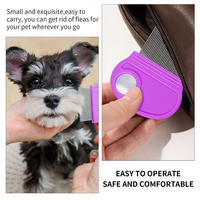 Flea Comb for Dogs Cats Kittens - 3 PCS Cat Flea Comb Brush for Small Dogs Stainless Steel Flea Comb with Magnifier for Pet Grooming Eye Tear Stain (Prule) Prule - PawsPlanet Australia