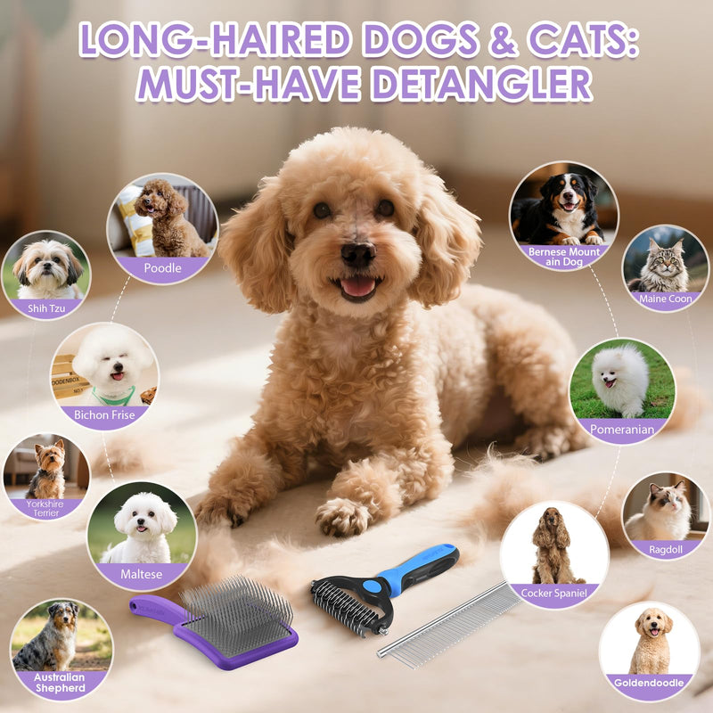 Long Pin Poodle Slicker Brush Set for Goldendoodle & Cockapoo. 25mm Pins Dog Grooming Kit with Undercoat Rake & Comb. Solid Wood Dematting Tool for Removing Mats, Tangles, Deshedding. Purple