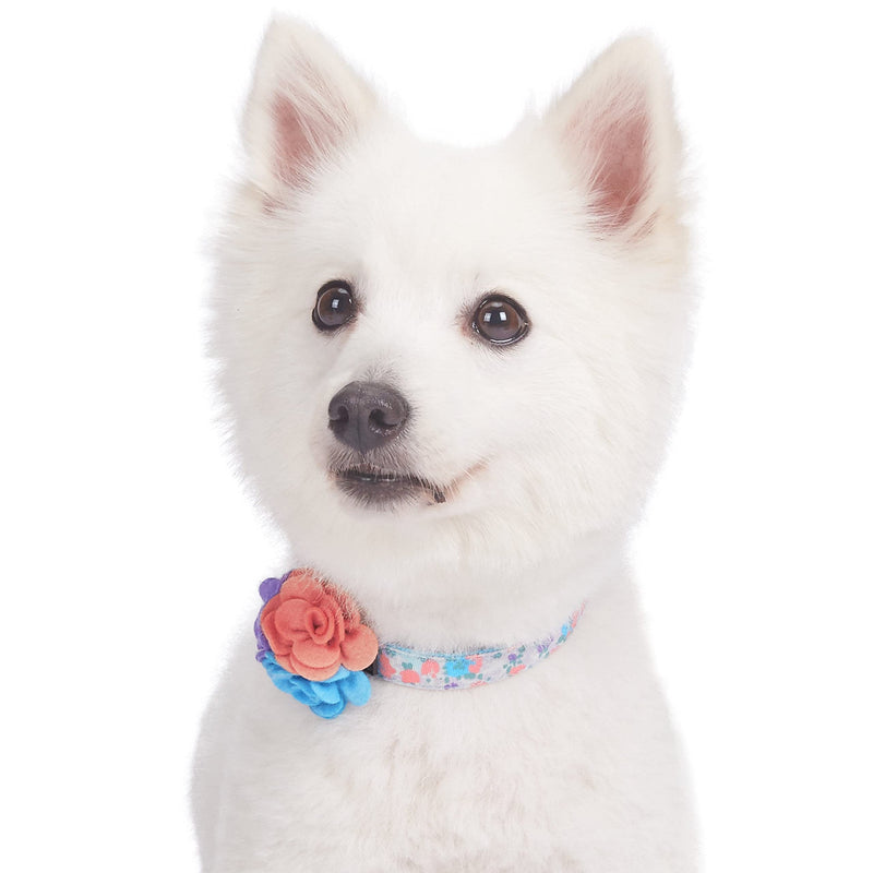 Blueberry Pet Dog Collar, Adjustable Floral Print Puppy Collar in Lavender with Removable Flower, Small 12"-16" Neck, Cute Girl Dog Accessories, Pink Dog Collars for Small Dogs, Safe Fit - PawsPlanet Australia