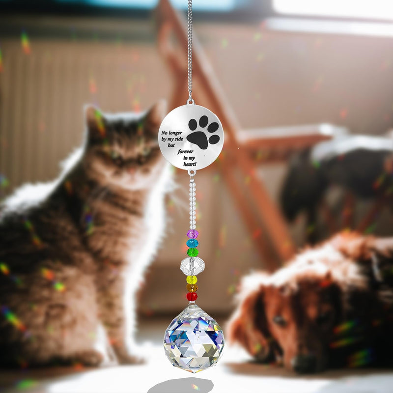 Dog Memorial Gifts for Loss of Dog, Pet Paw Print Sympathy Gifts Crystal Window Suncatcher,Bereavement Gift Sun Catcher,Dog Remembrance Gift Rainbow Maker,Pet Passing Away Loss Gifts (C) C - PawsPlanet Australia