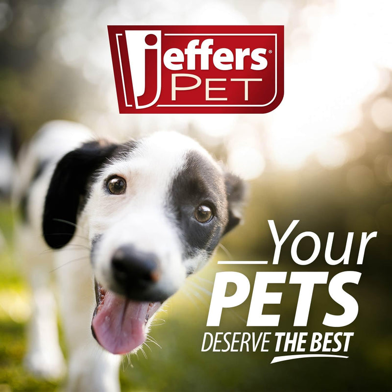 Jeffers 6FT Rolled Leather Dog Leash with Brass Hardware, Chestnut Brown Lead with Hand Strap, Durable Pet Leash for Medium & Large Dogs, Outdoor Walking & Training - 3/4" W x 6'L 3/4" x 6' - PawsPlanet Australia