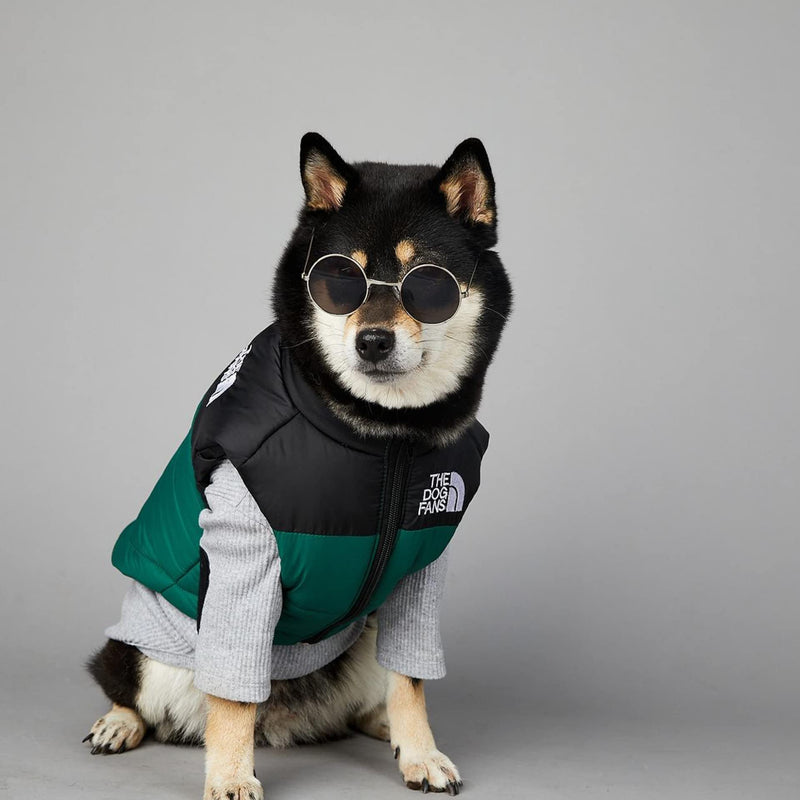 ChoChoCho Puffer Vest - Stylish Dog Jacket, Warm Coats for Cold Weather, Snow & Winter (Green, S) S (Chest: 15.7'' / Suggest: 2-5 lbs) Vest-Green