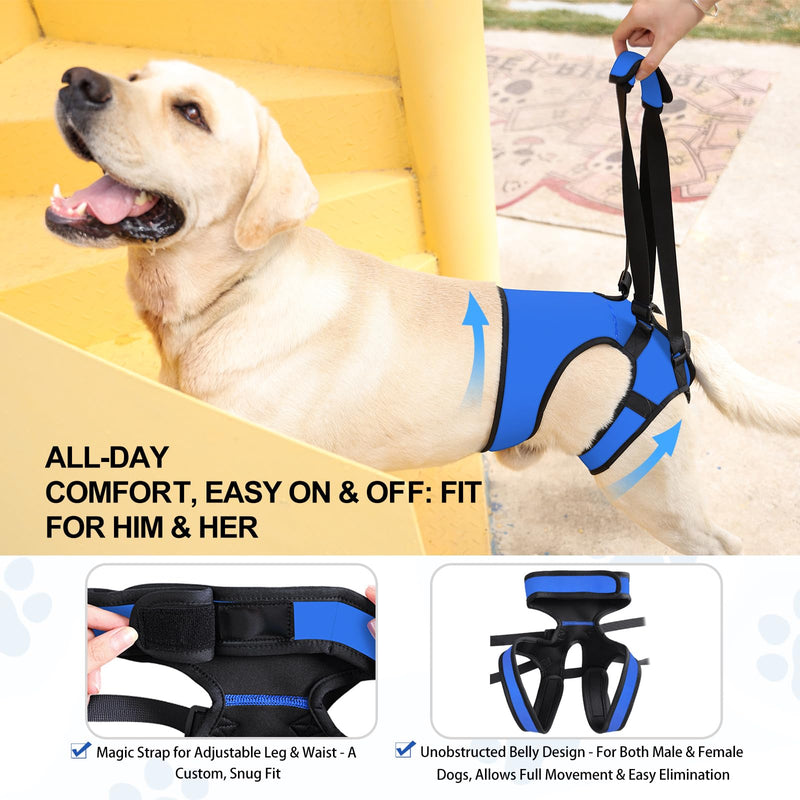 LIANZIMAU Dog Sling for Large Dogs Adjustable Hind Leg Support Lift Harness Senior Canine Mobility Aid Carrier for Back Legs Walking Rehabilitation Royal Blue L - PawsPlanet Australia