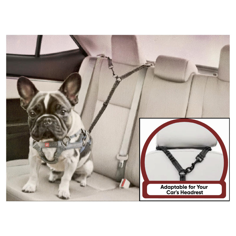 Double Dog Leash Dog Walking Essentials No Tangle Dog Walking Leash for Two Dogs Shock Absorbing Bungees Ideal for Camping Road Trips Beach Essentials & Training for Small Medium & Large Dogs 5-130lbs - PawsPlanet Australia