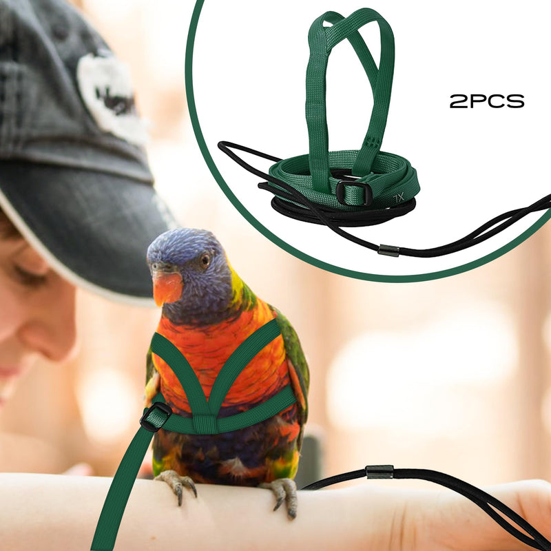 2 pcs Pet Parrot Bird Harness and Leash, Adjustable Training Design Anti-Bite, Outdoor Flying Training Rope Kit for Bird Parrots Fits Birds Chest Between24-51cm /9.45-20inch - M (Green) green Small - PawsPlanet Australia