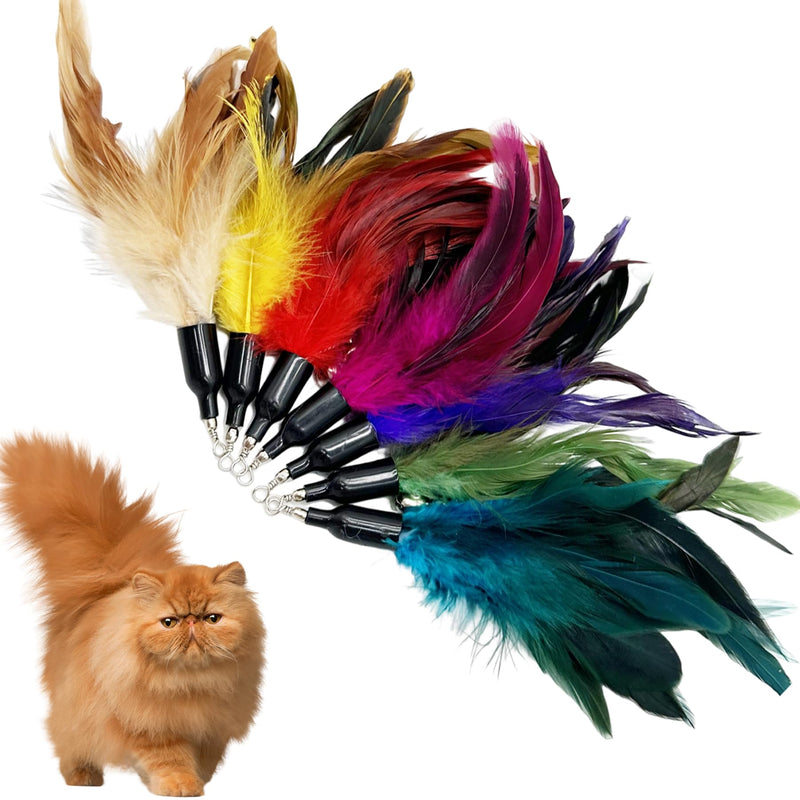 Cat Feather Toys Refill Cat Wand Replacement Feathers, 16 PCS Cat Toy Feather Refills, Cat Wand Attachments Feathers for Cat Toys 16PCS Cat Feather Toy Refills - PawsPlanet Australia