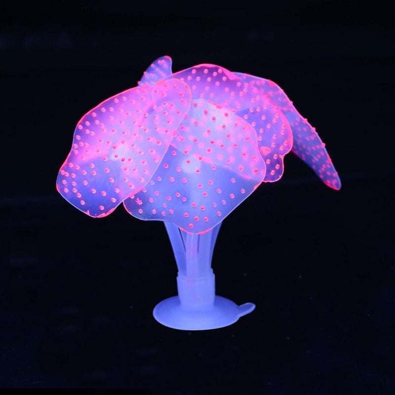 Glowing Fish Tank Decorations Plants, 4 pcs Glow Aquarium Decoration Plants Kit Glowing Sea Anemone Coral Ornaments - PawsPlanet Australia
