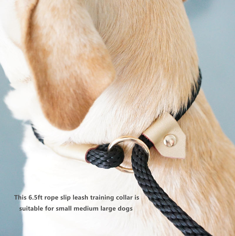 6.5ft Pet Slip Leash, Dog Lead and Collar Combo, Gentle Lead Leash, Recall Training Leash for Small Medium Large Dogs (Black, 6.5ft x 11mm) Black - PawsPlanet Australia