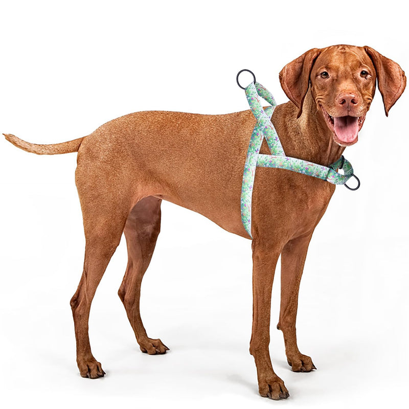 No Pull Dog Harness for Easy Walk, Floral Pattern Female Safety Nylon Training Collar for Small, Medium, and Large Dogs (M, Grass) - PawsPlanet Australia