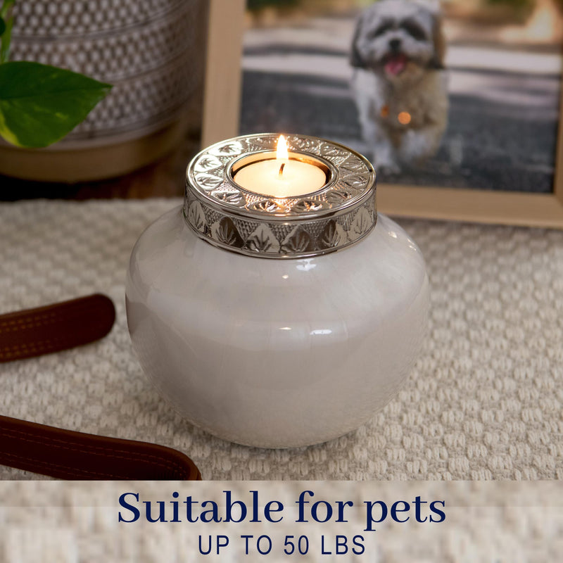 Fovere Pet Cremation Urn with Tealight Holder - Memorial Keepsake for Small & Medium Dogs, Cats, and Small Pets - Elegant Urn for Ashes with Candle Holder & Velvet Bag (Holds Up to 50 lbs Pet Weight) - PawsPlanet Australia