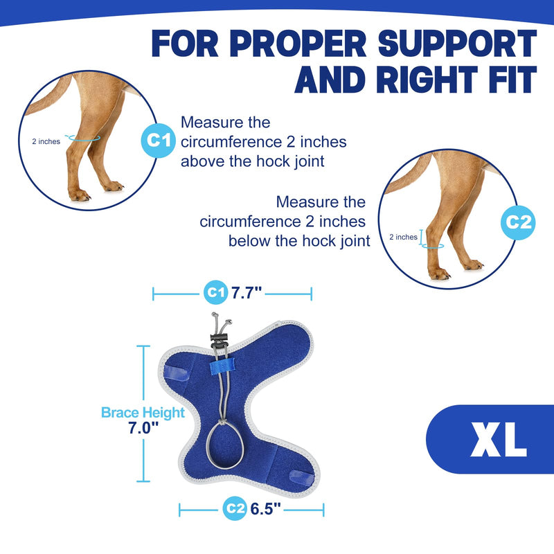 Dog Knuckling Braces Wrap for Hyperflexion of Phalanges Cause by Sciatic Nerve Damage & Carpal Flexural Deformity - Dual Locking Straps for Safe Adjustable Toe Lift Support (Blue, X-Large) Blue