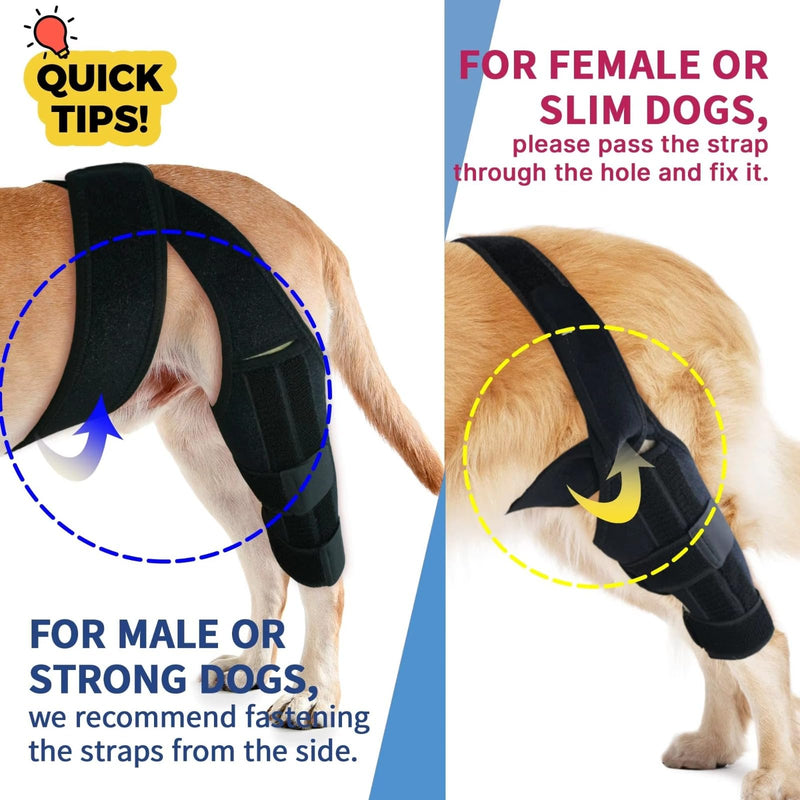 Premium Dog Knee Brace for Torn ACL/CCL - Large Universal Brace for Hind Leg Support and Hip Dysplasia - Durable Dog Leg Braces for All Four Legs Neoprene Dog Knee Brace - PawsPlanet Australia