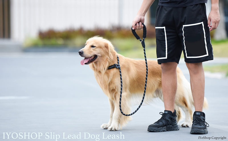 iYoShop Durable Slip Lead Dog Leash with Padded Handle and Highly Reflective Threads, No Pull Dog Training Leash, (1/2" x 6 FT, Black) 1/2" x 6 FT (35~120 lbs.) - PawsPlanet Australia